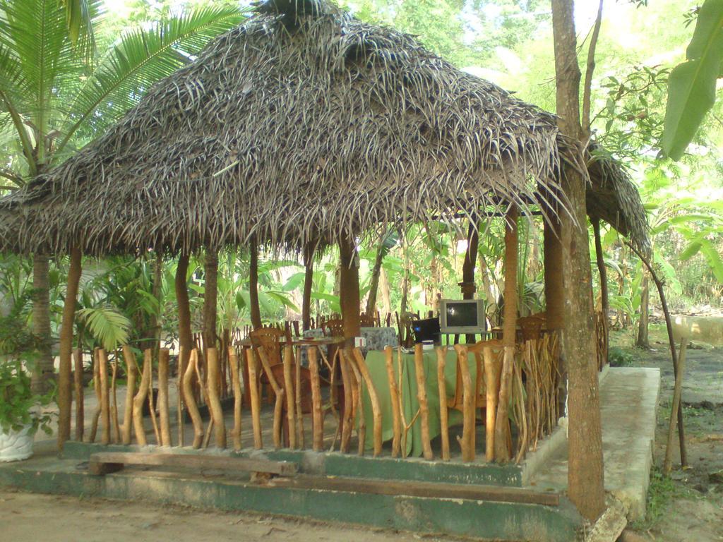 مبيت وإفطار أنرادابورام Coconut Park المظهر الخارجي الصورة