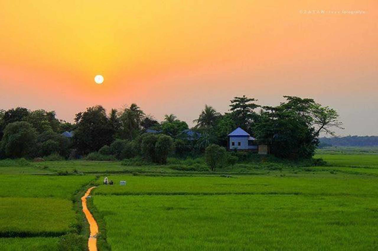 مبيت وإفطار أنرادابورام Coconut Park المظهر الخارجي الصورة